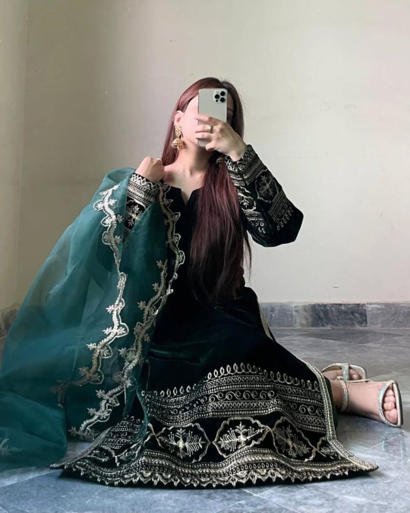 Tilla Embroidered 9000 Micro Velvet Suit with Cutwork Organza Dupatta 3 PC - Image 2
