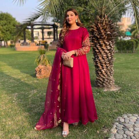 Embroidered Chiffon Maxi dress