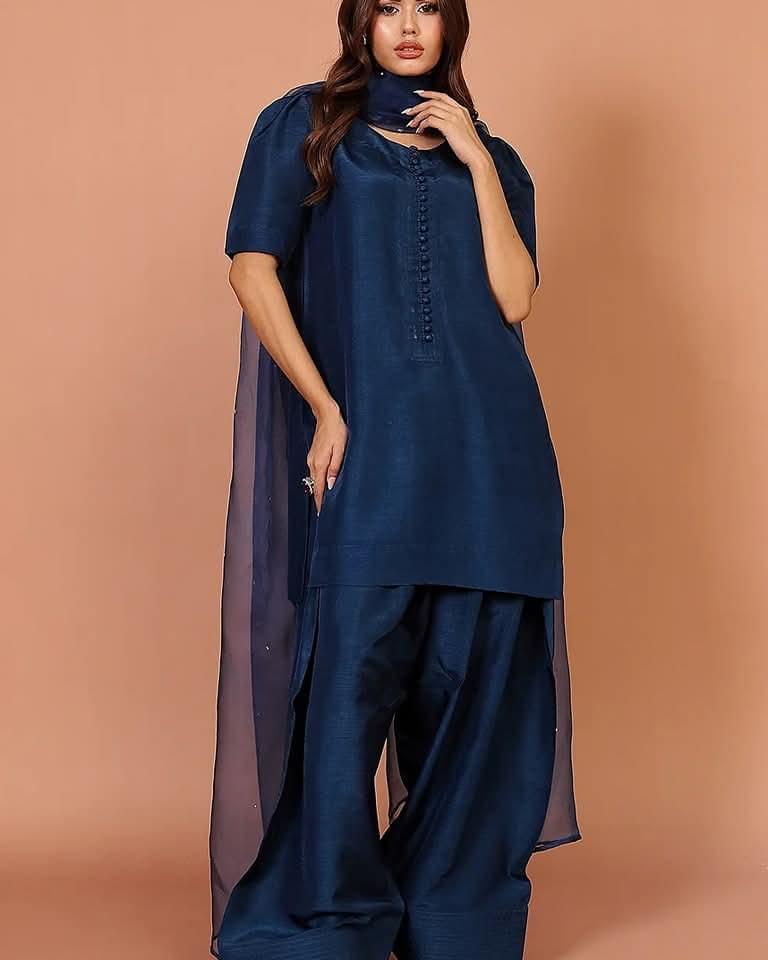 Farshi Shalwar 3PC - Image 2
